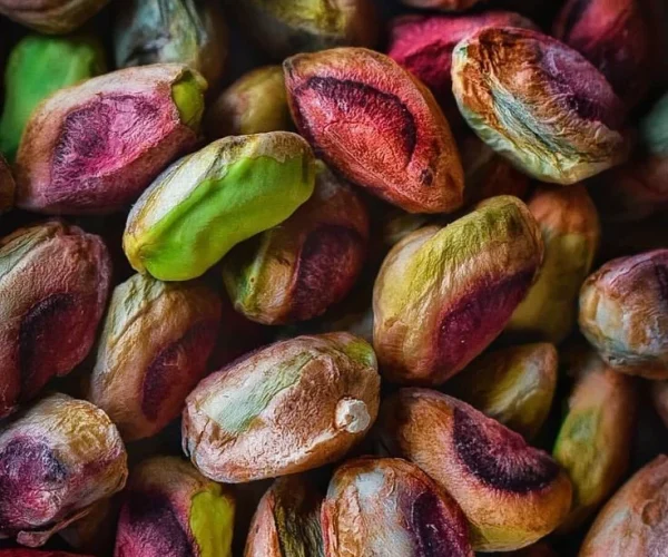 pistachio